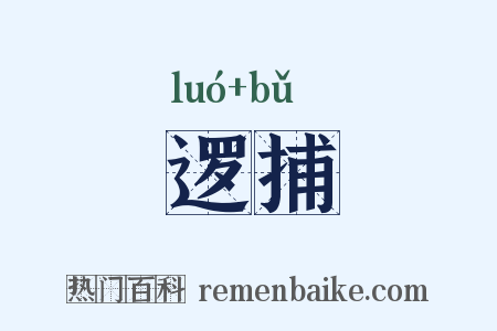 逻捕是什么意思的图片